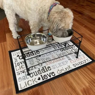 PetRageous Elevated Dog Feeder – Stylish & Healthy Eating