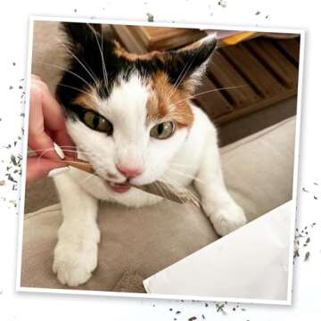 Meowijuana | King Size Catnip Joints | Organic | Dried Premium Ground Catnip | High Potency | Grown in North America | Feline and Cat Lover Approved