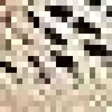 Alyweatry Women Crochet Knit Pullover Crop Top Color Block Square Neck Hole Long Bell Sleeve Top Fas...