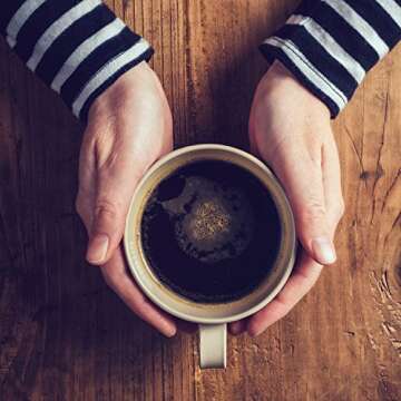 GLORYBREW 36 ct Compostable Coffee Pods I Compatible with Keurig I Premium Coffee Variety Pack I Medium & Dark Roast I Biodegradable I Rainforest Alliance Certified