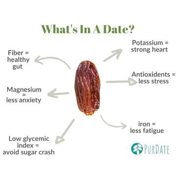 Organic Date Sugar – Sugar Substitute for Baking - Alternative Sugar for Baking – Paleo Dates Sugar – Plant-Based Vegan Sugar –100% Granulated Date Sugar Raw Organic (12oz)