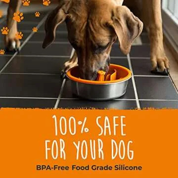 Mighty Paw Slow Feeder Dog Bowls | Interactive Dog Bow Insert - Silicone Puzzle Feeder Insert - Medium for All Sized Breeds (7" x 2")