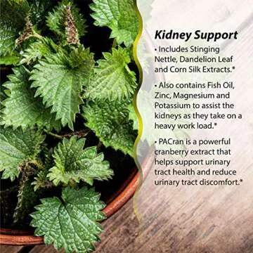 Irwin Naturals Kidney & Liver Super Cleanse for Detox