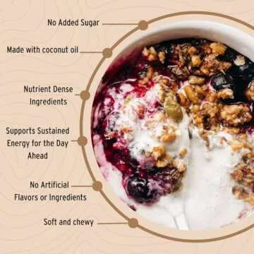 Wildway Keto Granola | Coconut Cashew | Grain-Free, Certified Gluten-Free Cereal | Vegan, Low Carb | No Sugar Added | Paleo-Friendly | Non-GMO Fruit & Nut Clusters | Nutrient-Rich Snack | 8 oz, 3 Pack