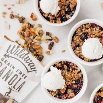 Wildway Keto Granola | Coconut Cashew | Grain-Free, Certified Gluten-Free Cereal | Vegan, Low Carb | No Sugar Added | Paleo-Friendly | Non-GMO Fruit & Nut Clusters | Nutrient-Rich Snack | 8 oz, 3 Pack