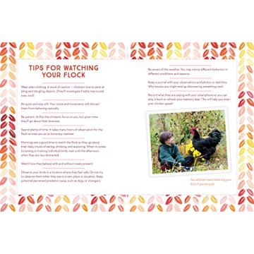 How to Speak Chicken Communication Guide