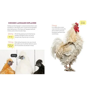 How to Speak Chicken Communication Guide