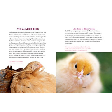 How to Speak Chicken Communication Guide