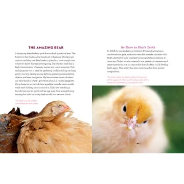 How to Speak Chicken Communication Guide