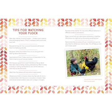 How to Speak Chicken Communication Guide