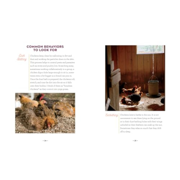 How to Speak Chicken Communication Guide