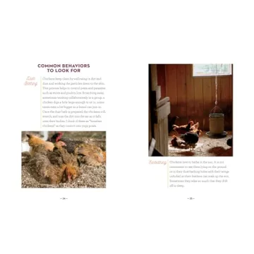 How to Speak Chicken Communication Guide