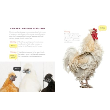 How to Speak Chicken Communication Guide