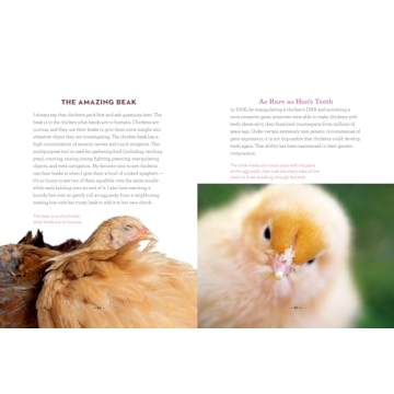 How to Speak Chicken Communication Guide