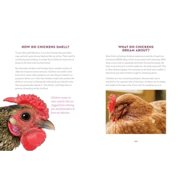 How to Speak Chicken Communication Guide