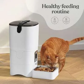 Smart Automatic Cat Feeder for Reliable Pet Feeding