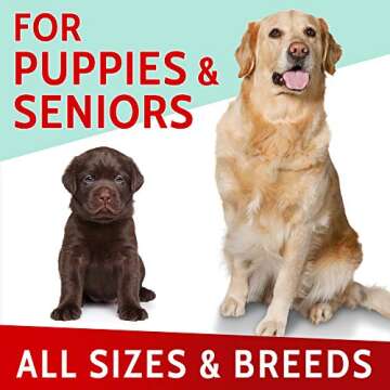 PawfectChew Hemp + Glucosamine Treats - Joint Health Chews for Dogs