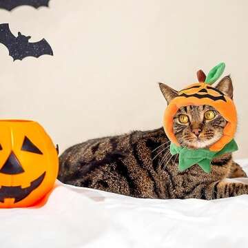 ALIBBON Cat Halloween Pumpkin Costume Dog Halloween Pumpkin Hat Pet Headdress for Halloween Party Adjustable Pumpkin Cap Cute Pumpkin Hat Dress Up for Puppy Kitty Halloween Cosplay Costume