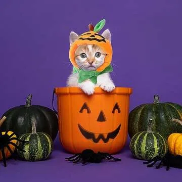 ALIBBON Cat Halloween Pumpkin Costume Dog Halloween Pumpkin Hat Pet Headdress for Halloween Party Adjustable Pumpkin Cap Cute Pumpkin Hat Dress Up for Puppy Kitty Halloween Cosplay Costume