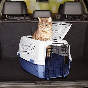 Durable Amazon Basics Dual-Door Pet Carrier for Travel