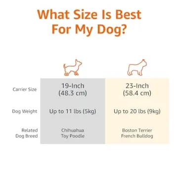 Durable Amazon Basics Dual-Door Pet Carrier for Travel