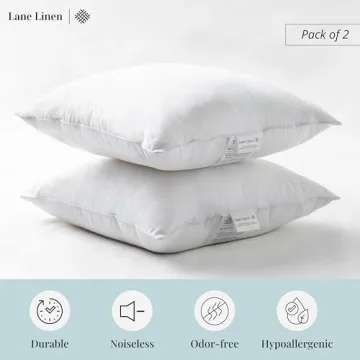 LANE LINEN 24x24 Pillow Inserts Set of 2 – Soft Supportive Decorative Pillows