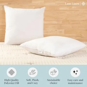 LANE LINEN 24x24 Pillow Inserts Set of 2 – Soft Supportive Decorative Pillows