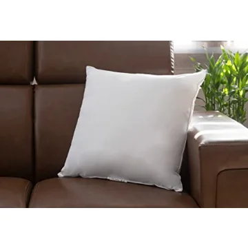 LANE LINEN 24x24 Pillow Inserts Set of 2 – Soft Supportive Decorative Pillows