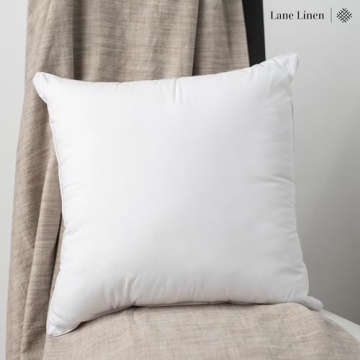 LANE LINEN 24x24 Pillow Inserts Set of 2 – Soft Supportive Decorative Pillows