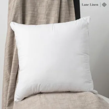 LANE LINEN 24x24 Pillow Inserts Set of 2 – Soft Supportive Decorative Pillows