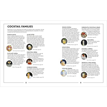 Steve's Cocktail Guide - Essential Recipes & Techniques