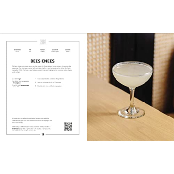 Steve's Cocktail Guide - Essential Recipes & Techniques