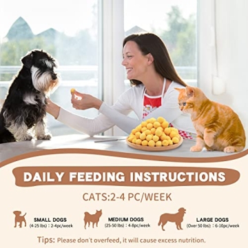 Healthy Freeze-Dried Treats for Happy Pets