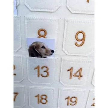 Christmas Countdown Advent Calendar with Pockets,Christmas Picture Countdown Board,Photo Advent Calendar- Advent Calendars for Kids Chocolate & Candy