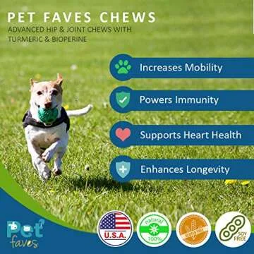 Natural Dog Hip & Joint Supplement for Dogs Arthritis Pain Relief. Turmeric Curcumin with Black Pepp...