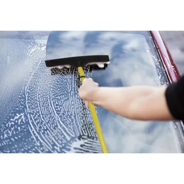 FURemover PRO Pet Hair Broom with Adjustable Handle