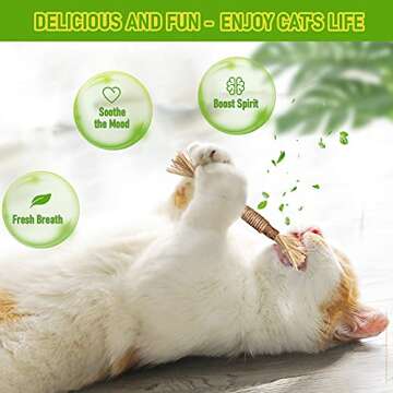 BAWAN Catnip Toys‖ Silvervine for Cats: Cute Cat & Kitten Toys for Indoor Cats Interactive‖ Cat ...