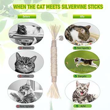 BAWAN Silvervine Chew Sticks for Cats - Natural Cat Toys