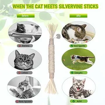 BAWAN Silvervine Chew Sticks for Cats - Natural Cat Toys