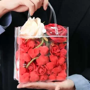 BadenBach 24 PCS Small Clear Gift Bags with Handle,5.9" x 6.3" x 2.8",Cute Plastic Clear Gift Bags Reusable Clear Party Favor Goodie Bags for Boutique Wedding Birthday Party Baby Shower Mother's Day