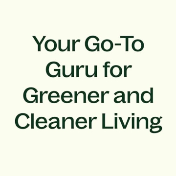 Plant Therapy Organic Unrefined Shea Butter 16 oz for Body and Hair