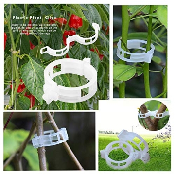 300 Plant Support Clips for All Your Gardening Needs