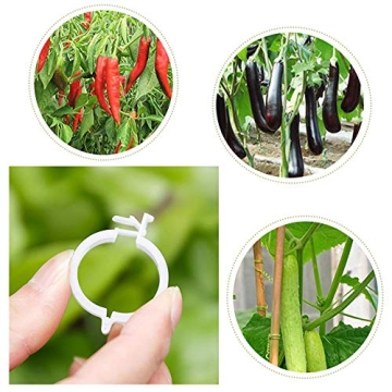 300 Plant Support Clips for All Your Gardening Needs