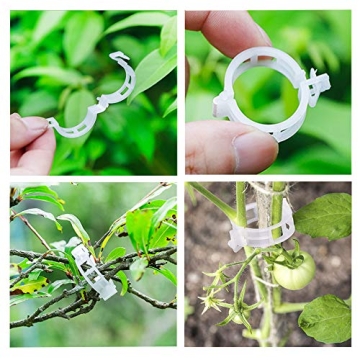300 Plant Support Clips for All Your Gardening Needs