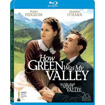 How Green Was My Valley: A Tale of Family and Resilience