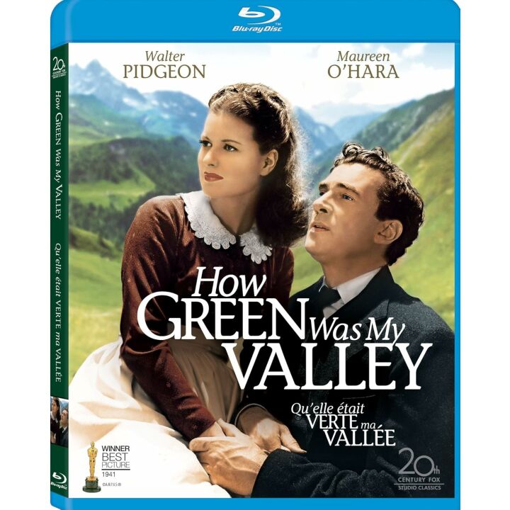 How Green Was My Valley Overview and Themes
