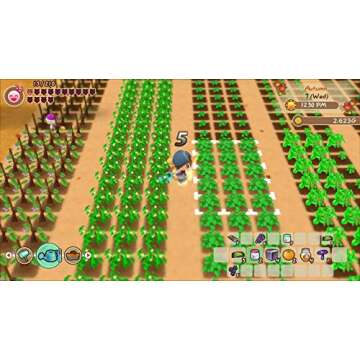 Story of Seasons Friends of Mineral Town for Nintendo Switch