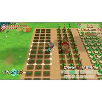 Story of Seasons Friends of Mineral Town for Nintendo Switch