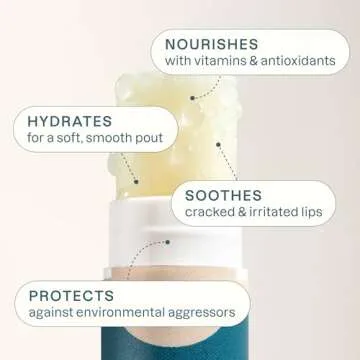 Cliganic Organic Lip Balm Set - 8 Natural Flavors for All