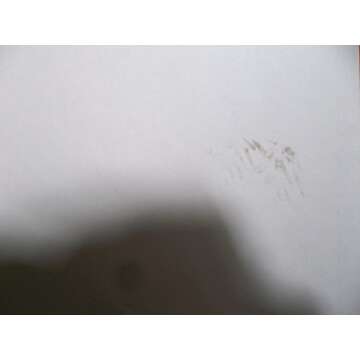 The Psychedelic Experience Manual for Spiritual Seekers